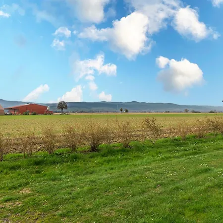 Cigogne Ferienhaus Munwiller