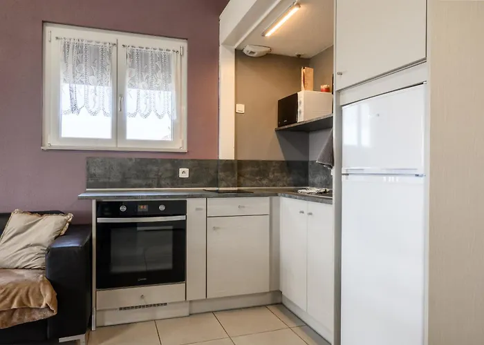 Vakantiehuis Cigogne Munwiller