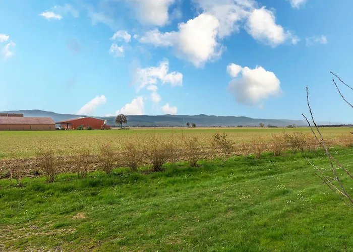 Vakantiehuis Cigogne